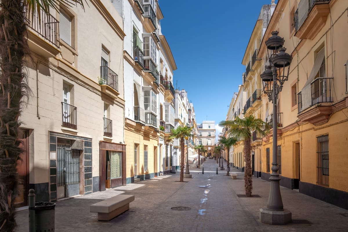 Palmengesäumte Gasse in der Altstadt von Cádiz mit weißen und ockerfarbenen Fassaden und Straßenlaternen