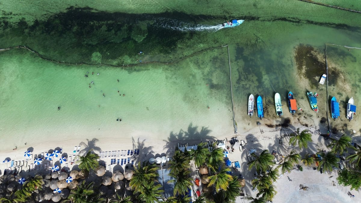Senkrechte Luftaufnahme des Strands von Mahahual: türkisgrünes flaches Wasser mit abgesteckter Badezone und Schwimmern, eine Reihe vertäuter Ausflugsboote am Ufer, am Strand blau-weiße Sonnenschirme, Liegen, palmwedelgedeckte Sonnendächer und dichte Palmen