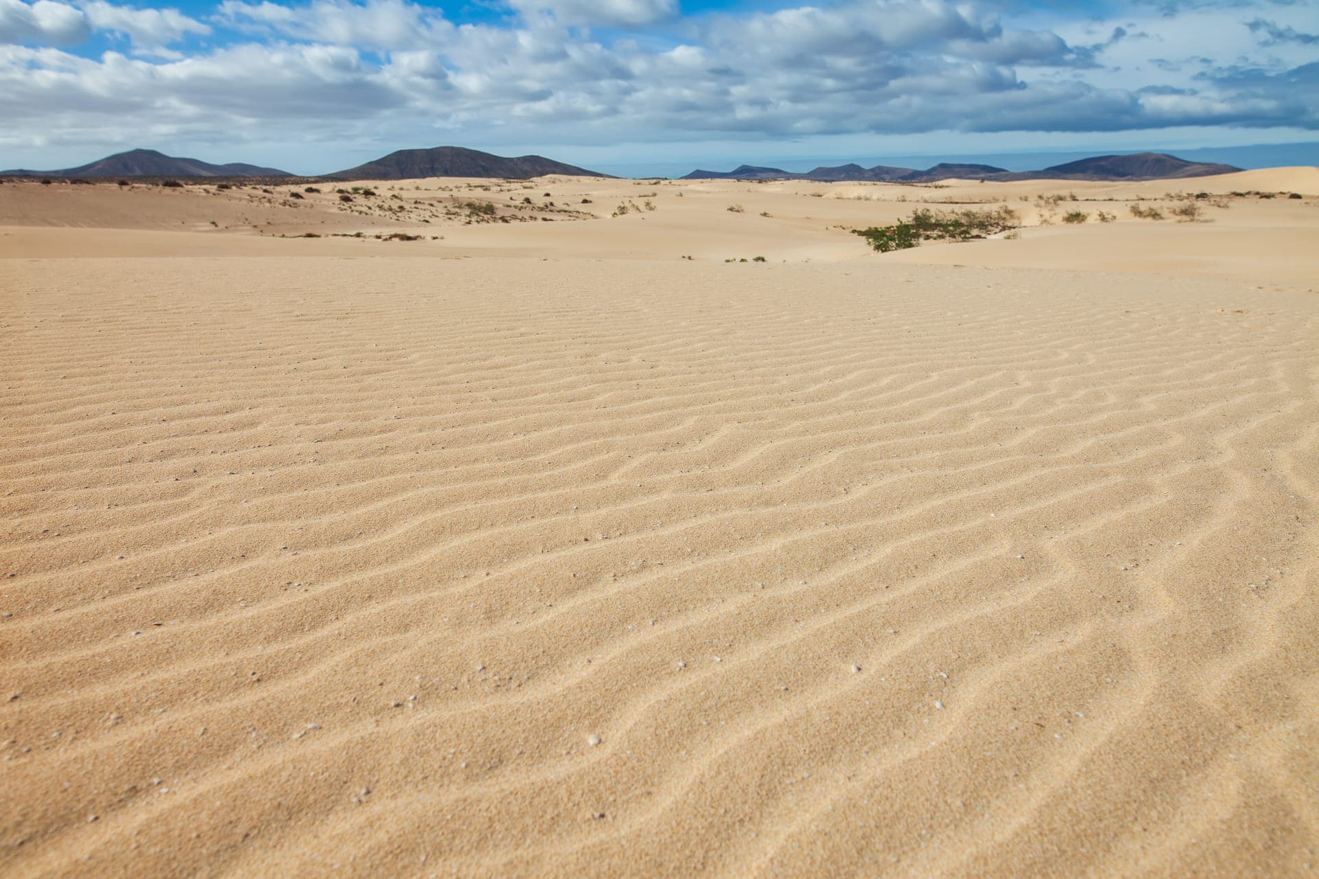 Weite Sanddünen von Corralejo auf Fuerteventura unter blauem Himmel, im Hintergrund dunkle Vulkanberge