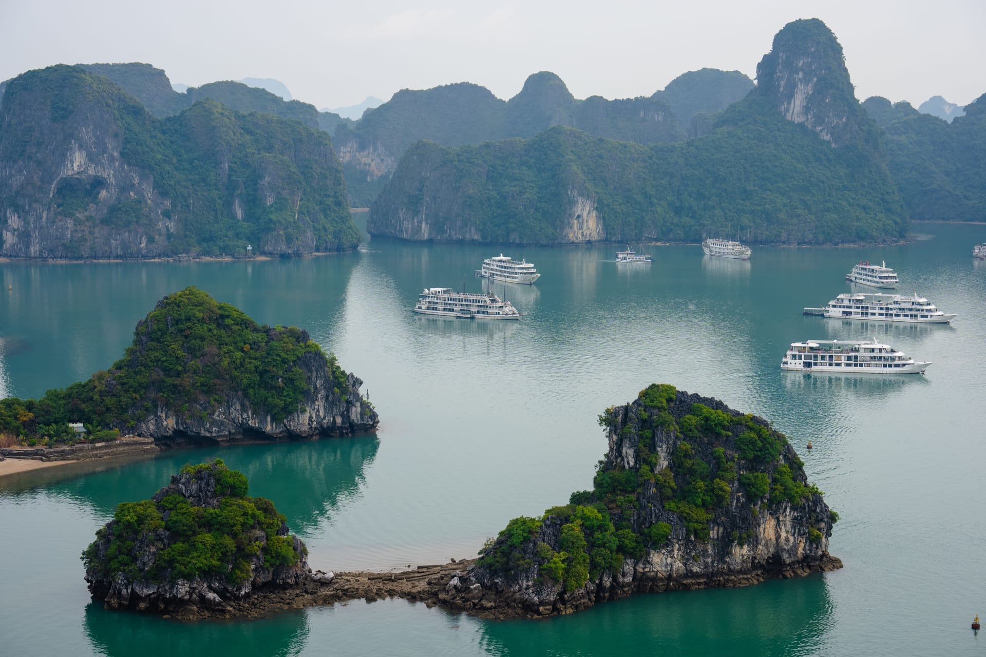 Luftaufnahme der Halong-Bucht mit bewaldeten Kalksteinkarst-Inseln im türkisfarbenen Wasser, dazwischen mehrere weiße Ausflugsschiffe