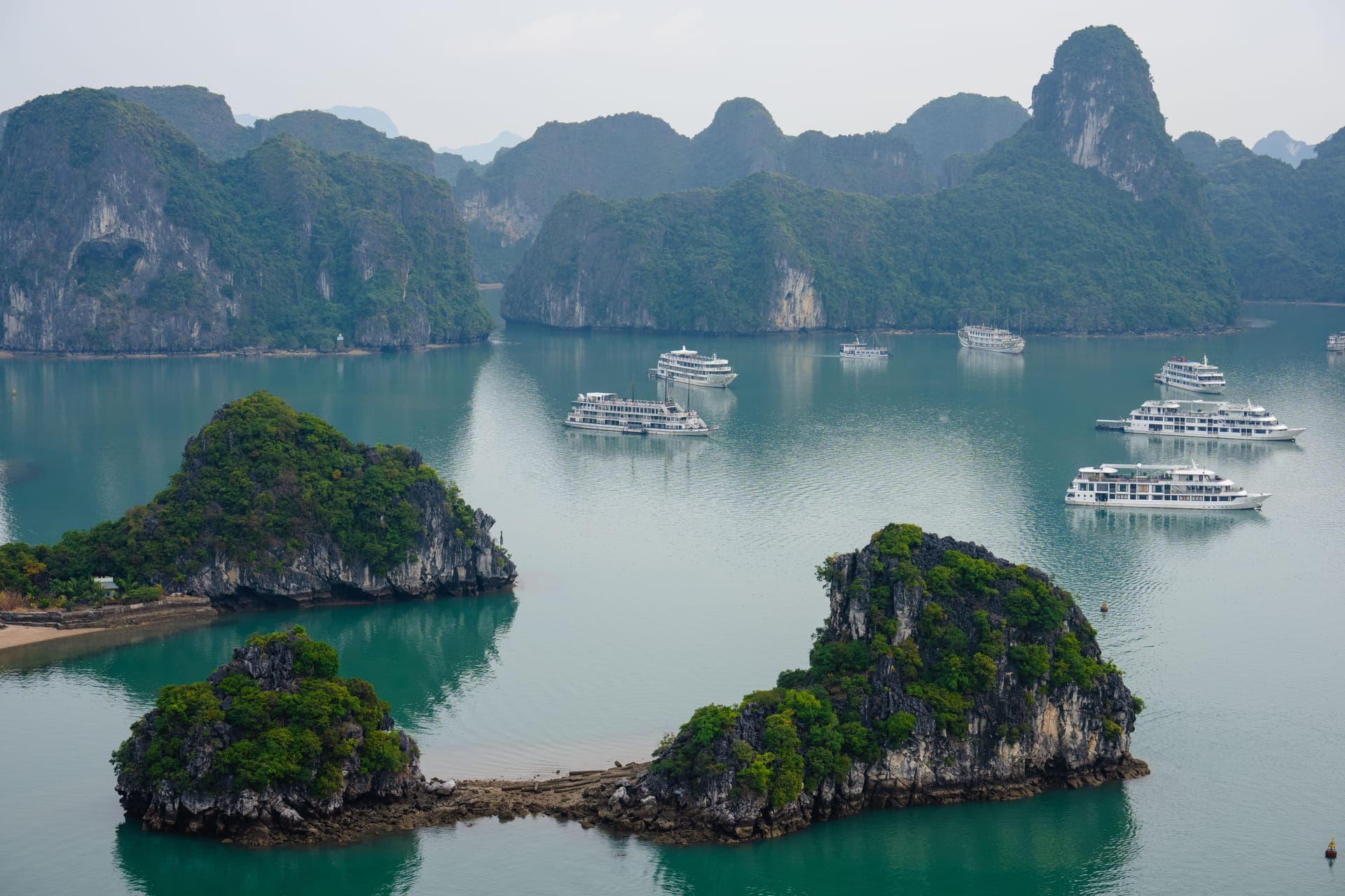 Luftaufnahme der Halong-Bucht mit bewaldeten Kalksteinkarst-Inseln im türkisfarbenen Wasser, dazwischen mehrere weiße Ausflugsschiffe