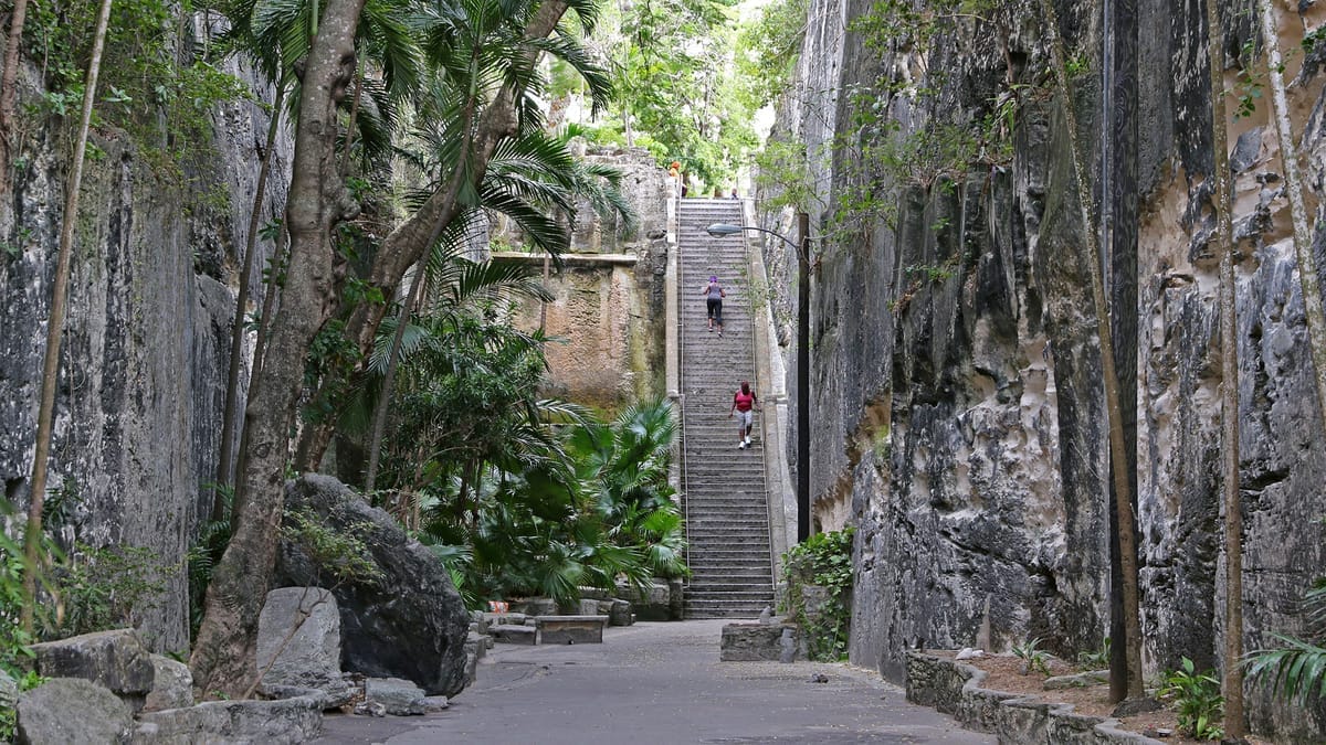 Die Queen's Staircase in Nassau: eine steile Treppe zwischen hohen, senkrecht behauenen Kalksteinwänden, über die Palmen und Farne wachsen, zwei Menschen steigen die Stufen hinauf