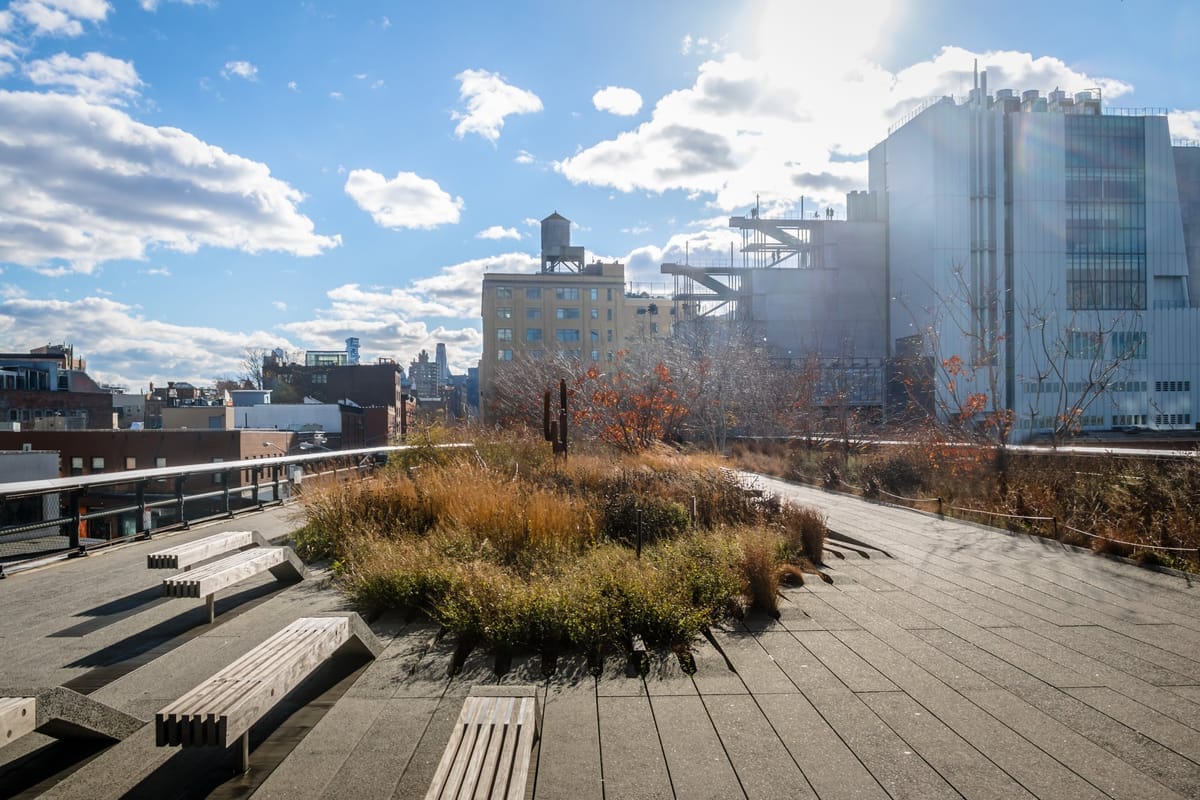 High Line Park mit Bepflanzung, Spaziergängern und umliegenden Gebäuden in Chelsea