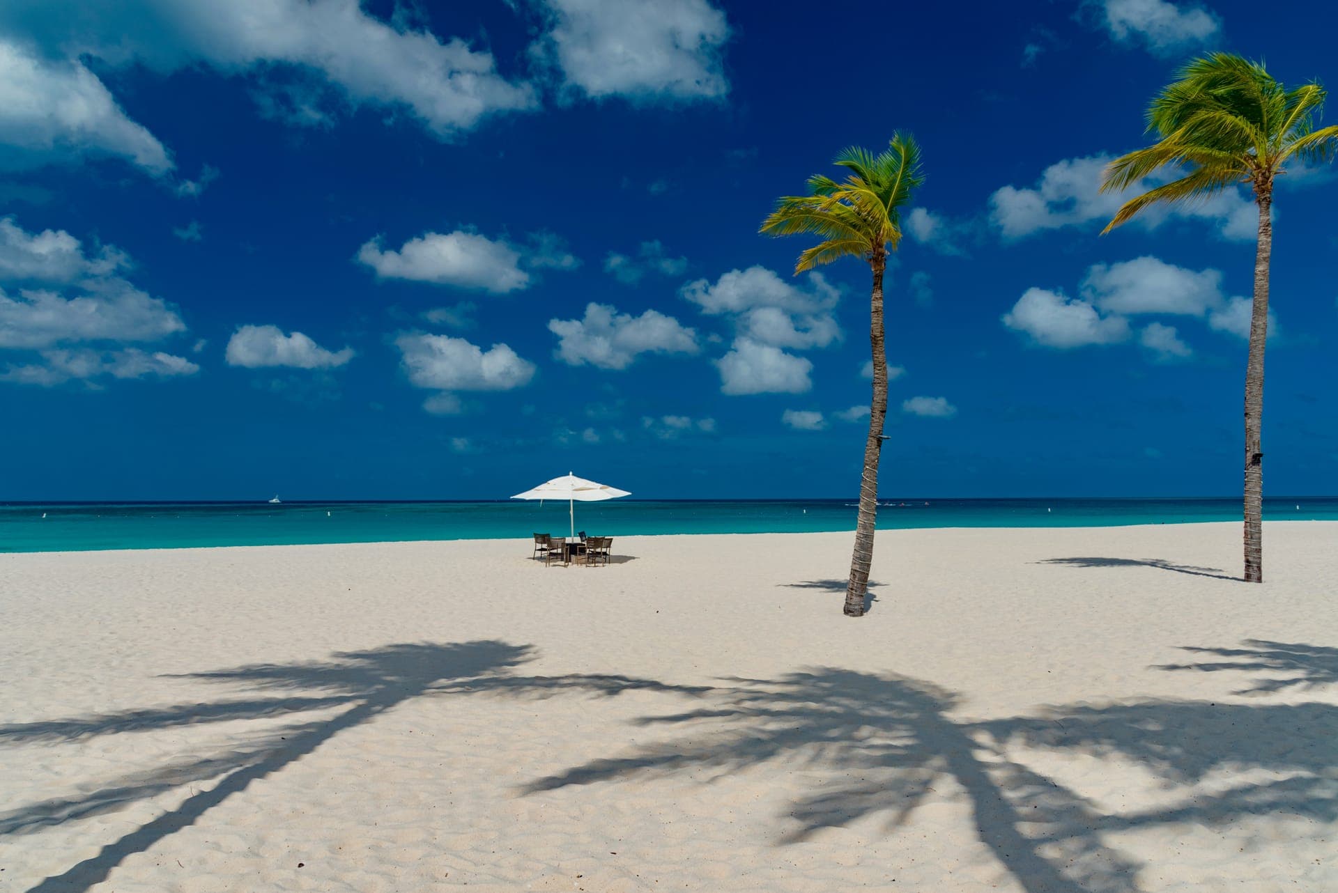 Breiter weißer Sandstrand auf Aruba mit zwei Palmen, deren Schatten über den Sand fallen, einem Sonnenschirm am Wasser und türkisblauem Meer unter blauem Himmel