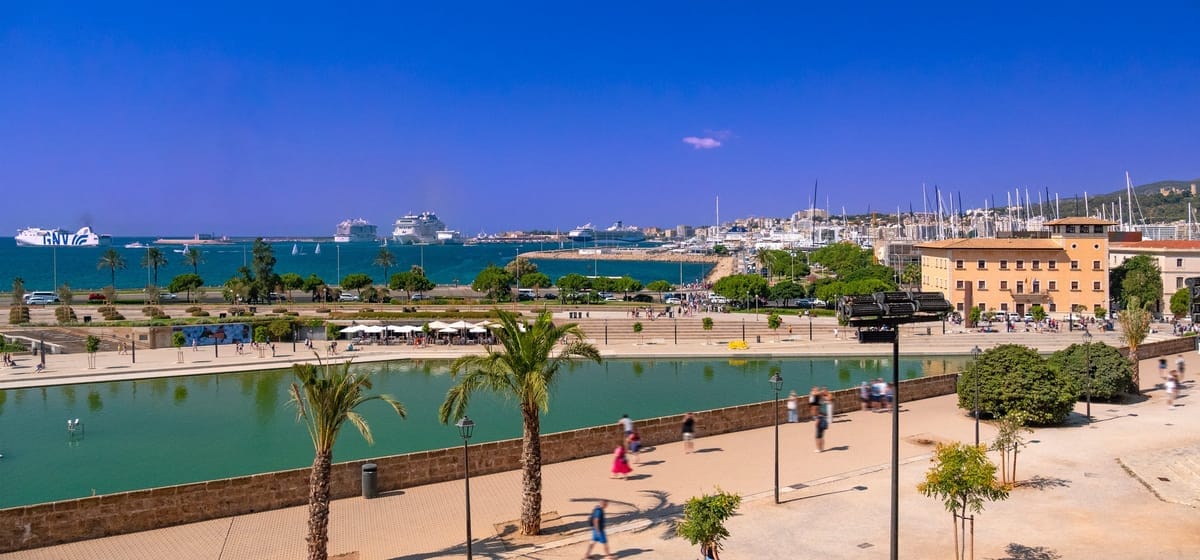 Blick von der Kathedrale über den Parc de la Mar auf den Hafen von Palma mit Kreuzfahrtschiffen