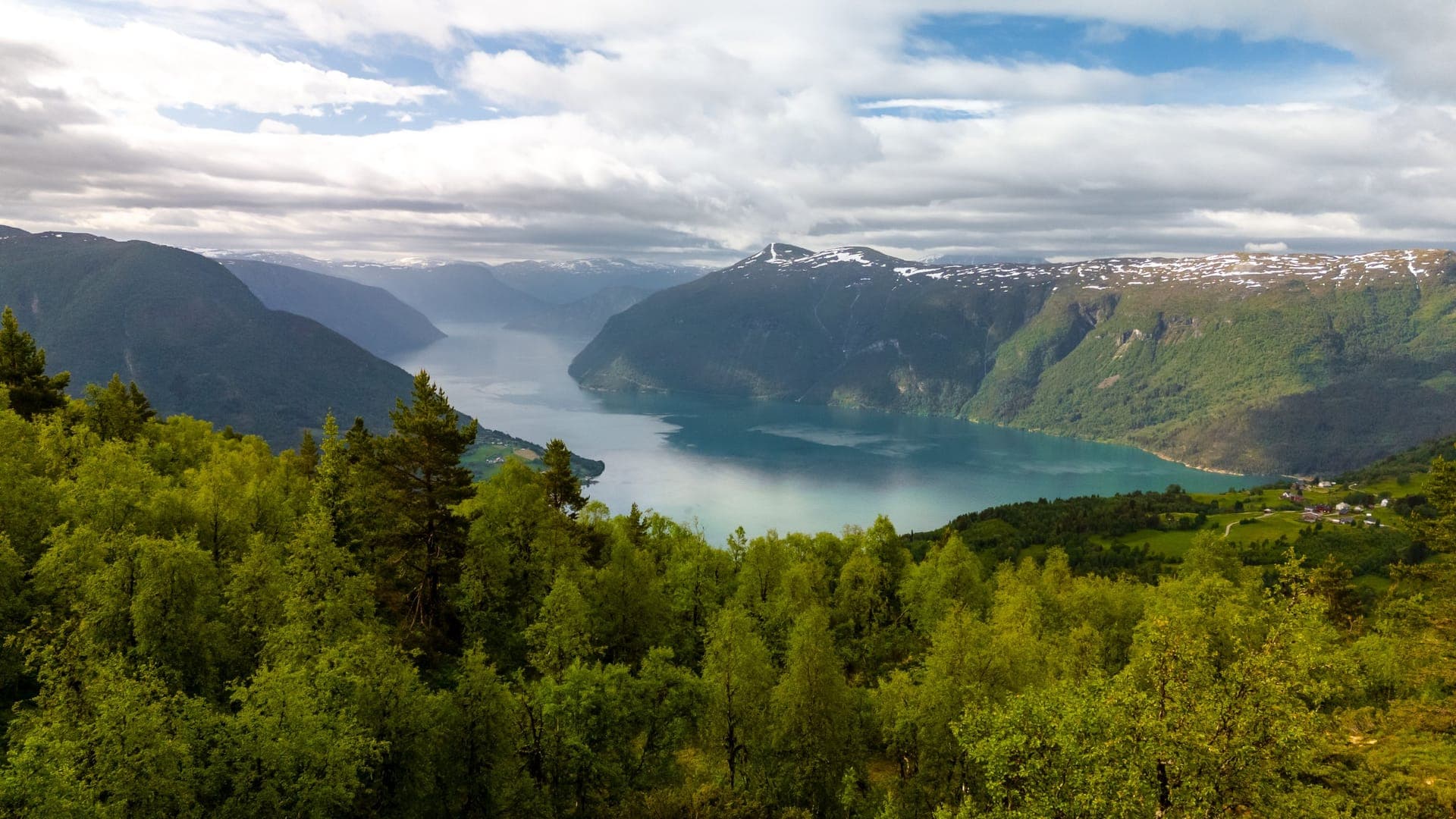 Der Lustrafjord bei Skjolden, innerster Arm des Sognefjords, mit steilen grünen Berghängen und spiegelglattem Wasser