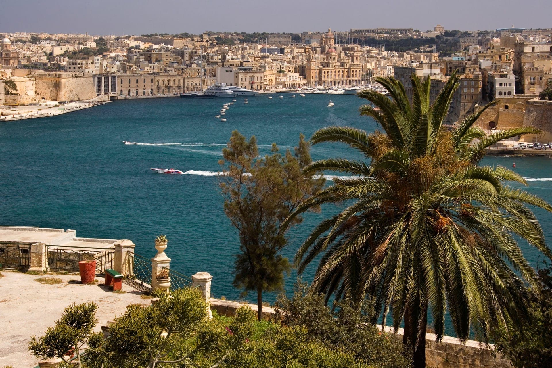 Blick von einer Gartenterrasse in Valletta über den Grand Harbour auf die Häuserzeilen und Kirchenkuppeln der Three Cities, im Vordergrund eine Palme