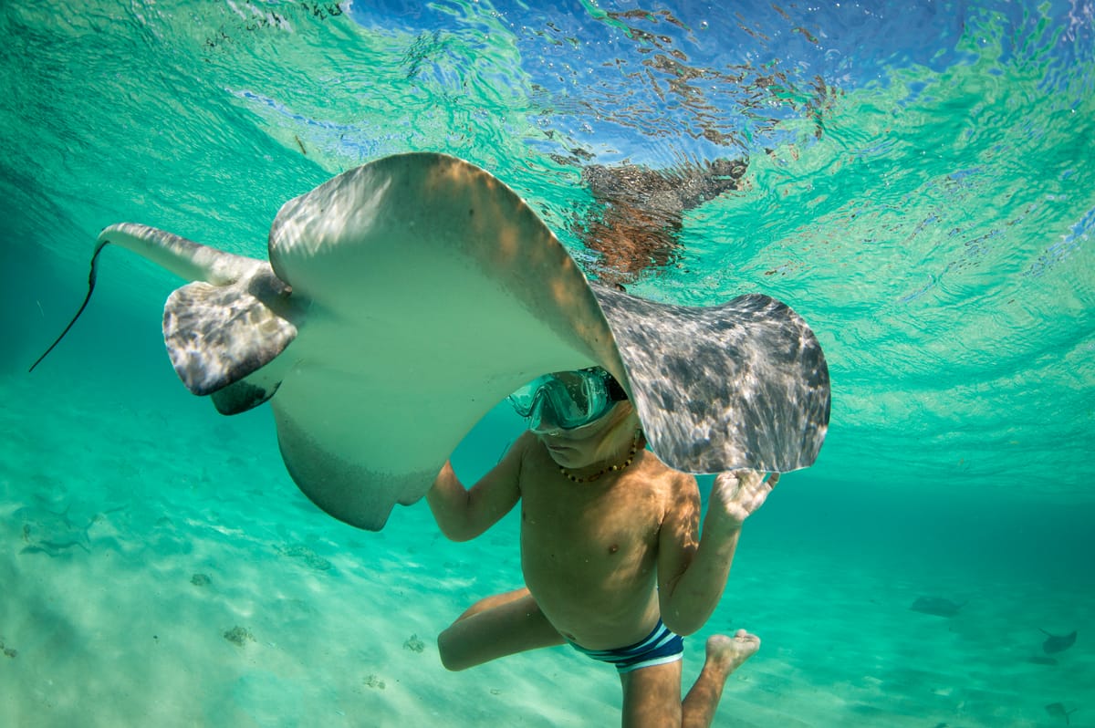 Unterwasseraufnahme: Ein Kind mit Schwimmbrille schwimmt über hellem Sandboden, darüber gleitet ein großer Stachelrochen