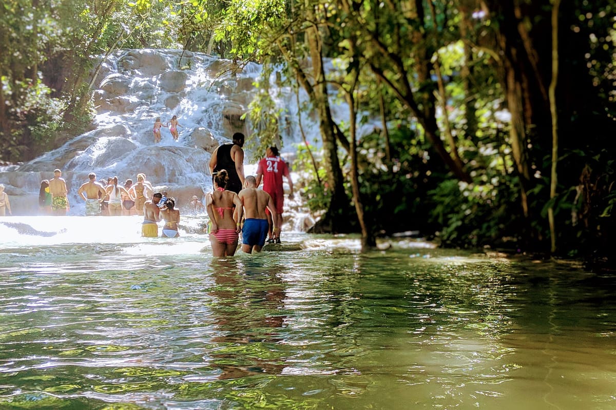 Besucher waten durch das flache Becken am Fuß der Dunn's River Falls und klettern in Gruppen über die weiß schäumenden Kalksteinterrassen, umgeben von dichtem grünem Blätterdach