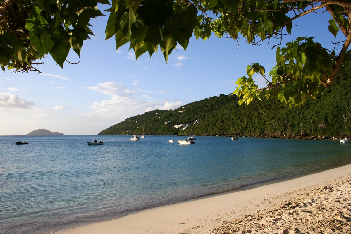 Die herzförmige Bucht der Magens Bay mit weißem Sandstrand, Palmen und ruhigem türkisfarbenem Wasser
