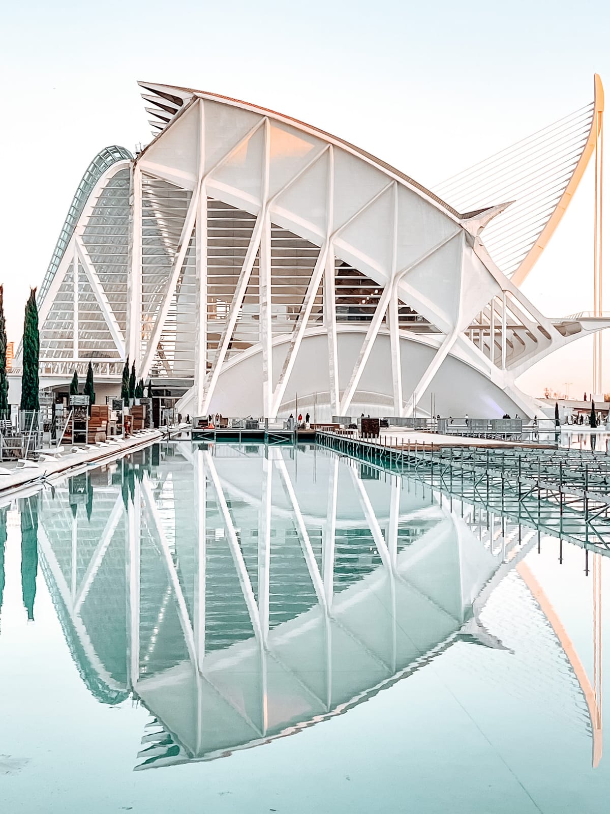 Detailansicht der futuristischen Stahl- und Glaskonstruktion der Ciudad de las Artes y las Ciencias mit Spiegelung im Wasserbecken